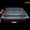 ظرف یکبار مصرف حجاج-پت-ابعاد