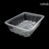 ظرف گوشت یکبار مصرف شفاف ابعاد 6×17×22