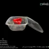 ظرف دیوایدر یکبار مصرف شفاف کد M800 مهرپارسا با سس کاپ – 🍱 دیوایدر شفاف M800 مهرپارسا | همراه سس کاپ-زاویه دیگر