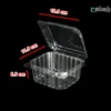 باکس زیتون یکبار مصرف مربعی شفاف پریما-ابعاد
